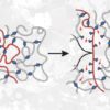 Surprisingly out of the ordinary! Polymers can be 10 times stronger with weaker bonds.