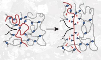 Surprisingly out of the ordinary! Polymers can be 10 times stronger with weaker bonds.