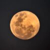 July’s supermoon will be 14,000 miles nearer to Earth than a run of the mill full moon occasion