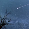 The Perseid meteor shower tops this end of the week. This is the way you can get it