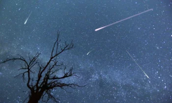 The Perseid meteor shower tops this end of the week. This is the way you can get it