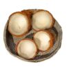 Notice the following nutritional information for a 100-gram serving of dry coconut: