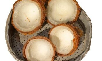 Notice the following nutritional information for a 100-gram serving of dry coconut: