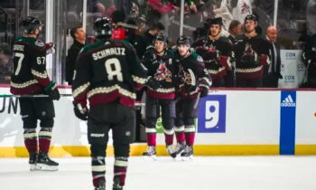 Coyotes in Arizona Wrap Up their Season on a Melancholy Note